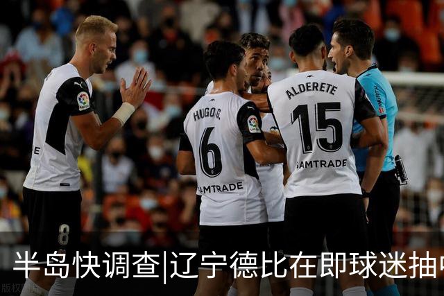 半岛快调查|辽宁德比在即球迷抽中球票却被告知“黄牛没抢到票”